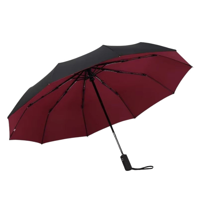 StormShield – Automatic Double-Canopy Mini Umbrella with Alloy Frame