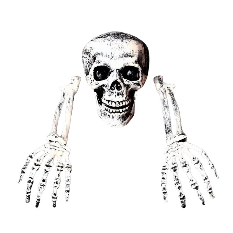 SkelEase – Skeleton with Skull Decoration for Halloween Displays