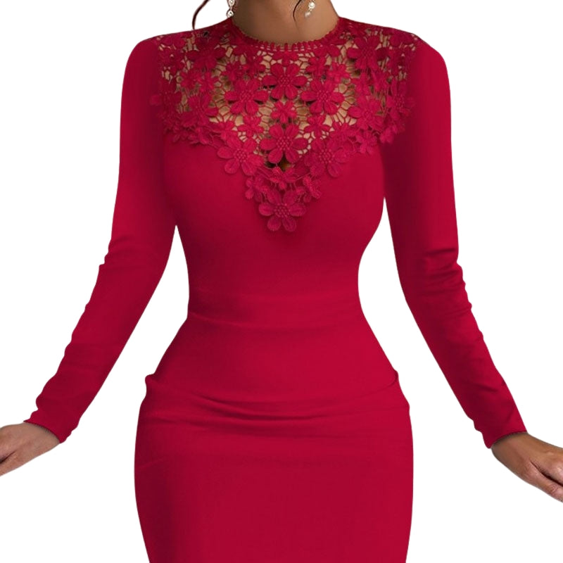 Eleganzia – Long Sleeve Bodycon Dress with Lace and Floral Pattern