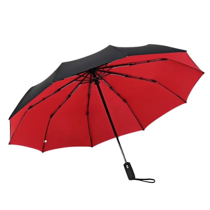 StormShield – Automatic Double-Canopy Mini Umbrella with Alloy Frame