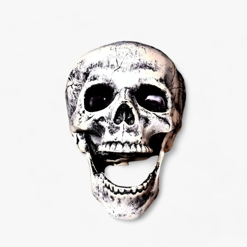 SkelEase – Skeleton with Skull Decoration for Halloween Displays